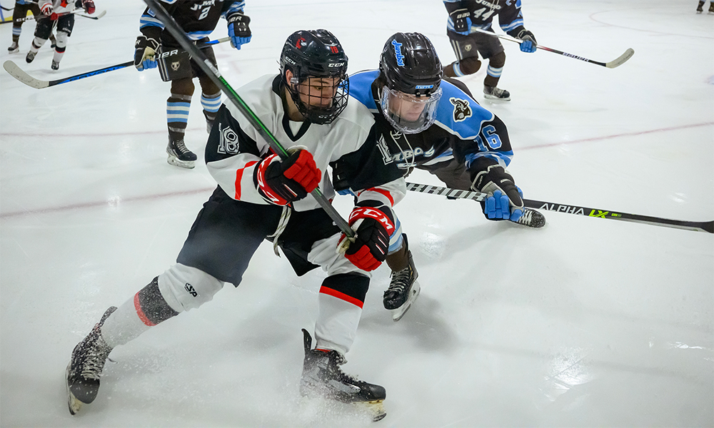 2024-25 Men's Ice Hockey Season Preview